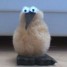beaksdale