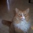 cabose0693