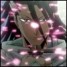 clownprince1 is online