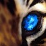 dark_hunter is online