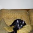 debbie_l_g