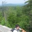 dingo008 is online