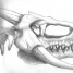 dragonskull