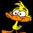 erieduck