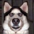feeishkane is online