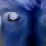 frostbite777