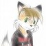 furryman11