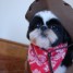 gidget629