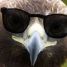 gonzo11790