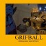 grif343 is online