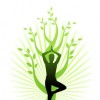 The Lifestyle Change