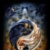 Yin & Yang