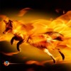 Firefox lovers.
