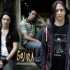 Gojira. The Band