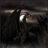 Dragon RP