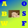 A.O.B.S.W.F