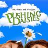 Pushing Daisies