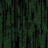 Programming Club