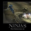 Halo Motivational Posters