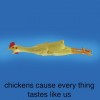 rubber chickens vs rubber ducks