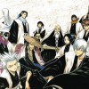 Gotei 13 