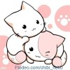 Anime Lover