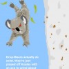 Team Drop Bears