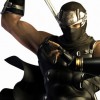 Ryu Hayabusa Fan Group