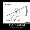 Sarcasm and Irony Runs My Life