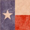 RvB fans from Texas