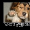 Who's awesome?