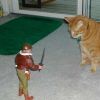 Fighting Ninja Kitty Alpha Team squad Go
