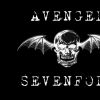 Avenged Sevenfold Fans