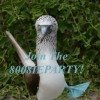 8008IEPARTY