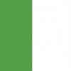 The Irish pepole