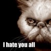 Things we hate