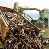Gun Lovers