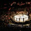 Mixed Martial Arts