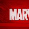 Marvel Fans