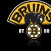 Boston Bruins Fans