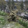 Sniper school