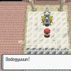 Major Pokemon Gamers