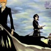 Bleach