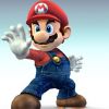 Mario Series Fans