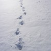 Off the beaten path