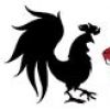 RoosterTeeth Appreciation Society
