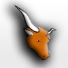 Longhorn Nation