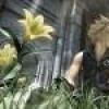 final fantasy advent children