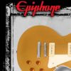 Guitarist