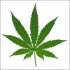 Stoners